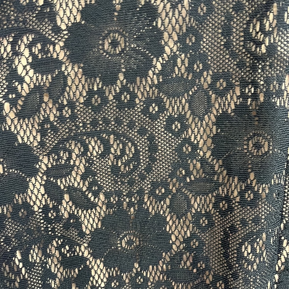 Adrianna Papell Size 2 Beige Black Lace Overlay Cap Sleeve Bodycon Formal Dress - Picture 11 of 12